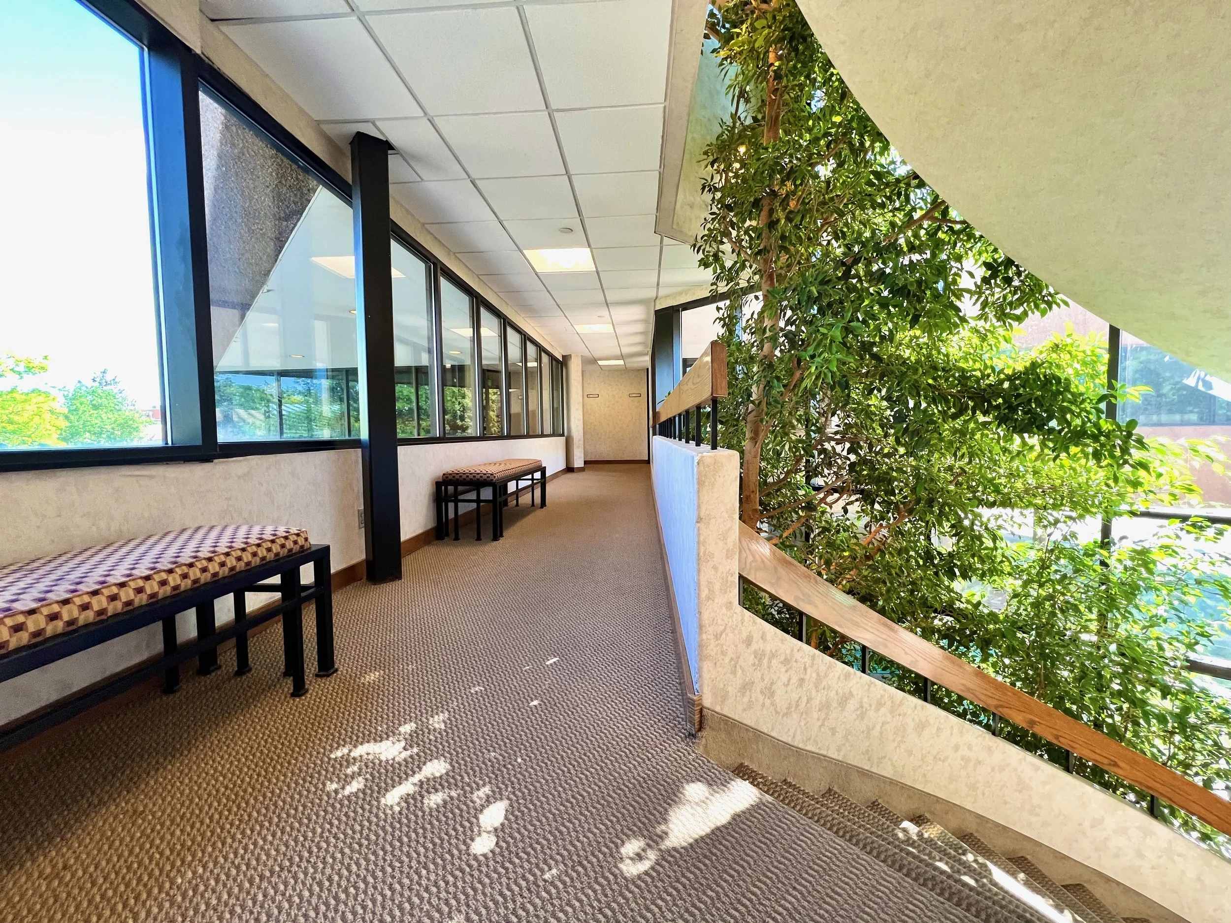 Second floor hallway and waiting area with benches, large windows, and indoor trees