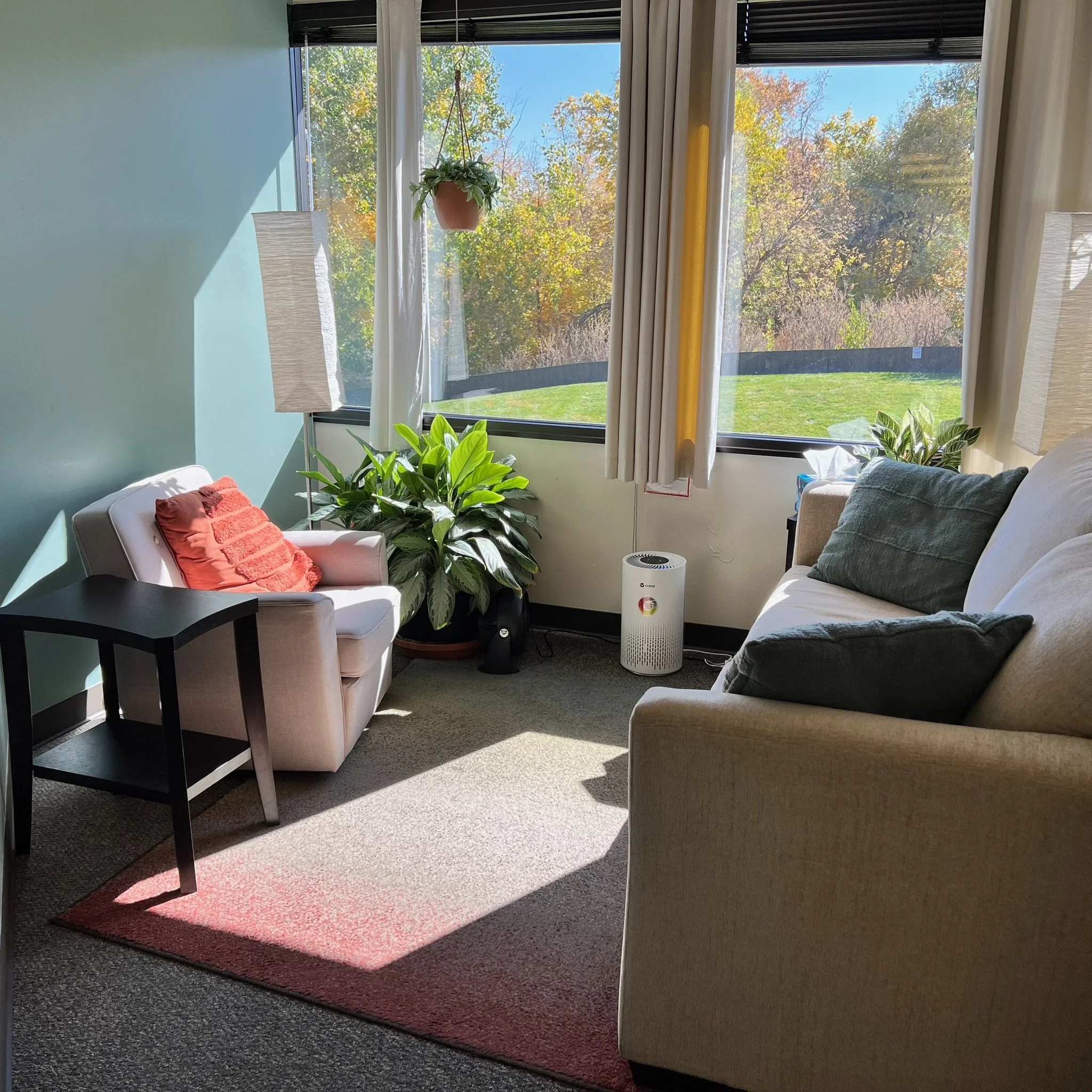 Sunlit therapy room with comfortable seating, hanging plants, and autumn views in Boulder, Colorado